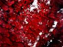 Red_Glass_by_letinhastock.jpg