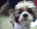 2012-02-24 09.24.15.jpg