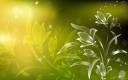 abstract_flowers_wallpapers.jpg