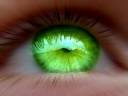 green-eyed-monster.jpg