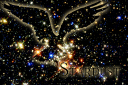Stardust.png