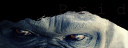 pridtopimg2.png