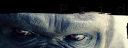pridtopimg3.png