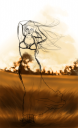 Solitary-Ground.png