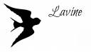 Lavine's Box Code!.jpg