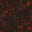 lava_texture_stock_by_mavrosh_stock-d39o7zp.jpg