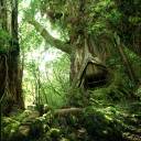 Caihya treehouse.jpg