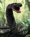 snake form.jpg