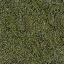 ground_grass_1024_tile.jpg