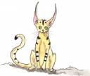kitty!.jpg
