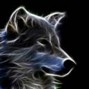 3D-Animal-Wallpaper.jpg
