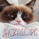 Mad Kitty 4.jpg
