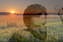 Jabris2.png