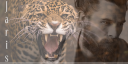 Jaris3.png