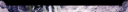 Samantha footer.png