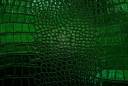 14451419-green-leather-texture-black-background-crocodil-e-leather.jpg