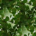 Seamless_Leaves_by_Meyrocu.jpg