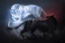 Black Vs White Tiger.jpg