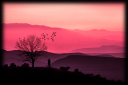 pink.png