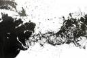 Dog_Knights_by_DOOMSTACHE-1.jpg
