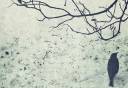 wait_in_the_snow_by_sternenfern-d4qufcr-1.jpg