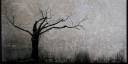 Deadtree1.jpg