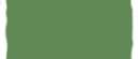 Finch2.jpg
