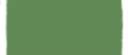 Finch2.jpg