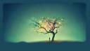Tree5.jpg