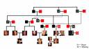 Family Tree V1 Flat.jpg