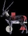 antelope fun themed.png