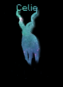 sig2.png