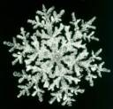 snowflake0572.jpg