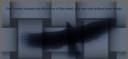 soaring boo.jpg