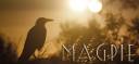 magpie_sunset_by_wisewanderer-d5q0h0o copy.jpg
