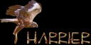 harrier.png
