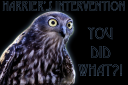 Harriers Intervention.png
