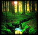 moss1.png
