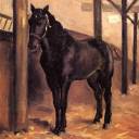 yerres-dark-bay-horse-in-the-stable.jpg