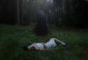 dark_forest_7_by_ksenija_strange-d491yjw.jpg