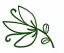 Flower2.jpg