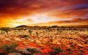 windows-desktop-backgrounds-desert.jpg