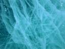 ice backdrop.jpg