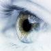 eye_pic.jpg