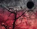 blind_sun_worshippers_by_miss_Alienation.jpg