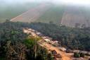 AddaxPlantationSierraLeone.jpg