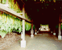 Tobacco barn-small.gif