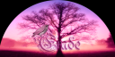birdsig.png