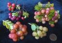 OheloBerry4ColorsVacciniumReticulatum.jpg