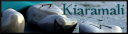 Kiaramalisigrunes1.png